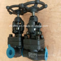 Forged Carbon Steel A105 Thread End NPT Globe Valve